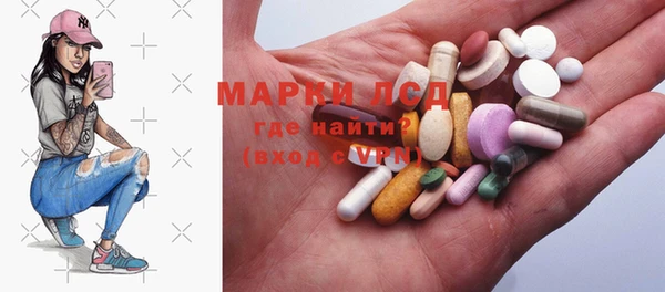 прущие грибы Переславль-Залесский