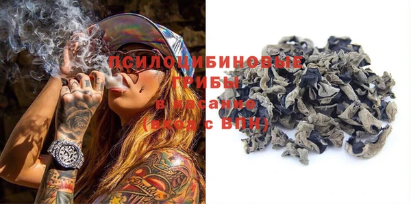 прущие грибы Переславль-Залесский